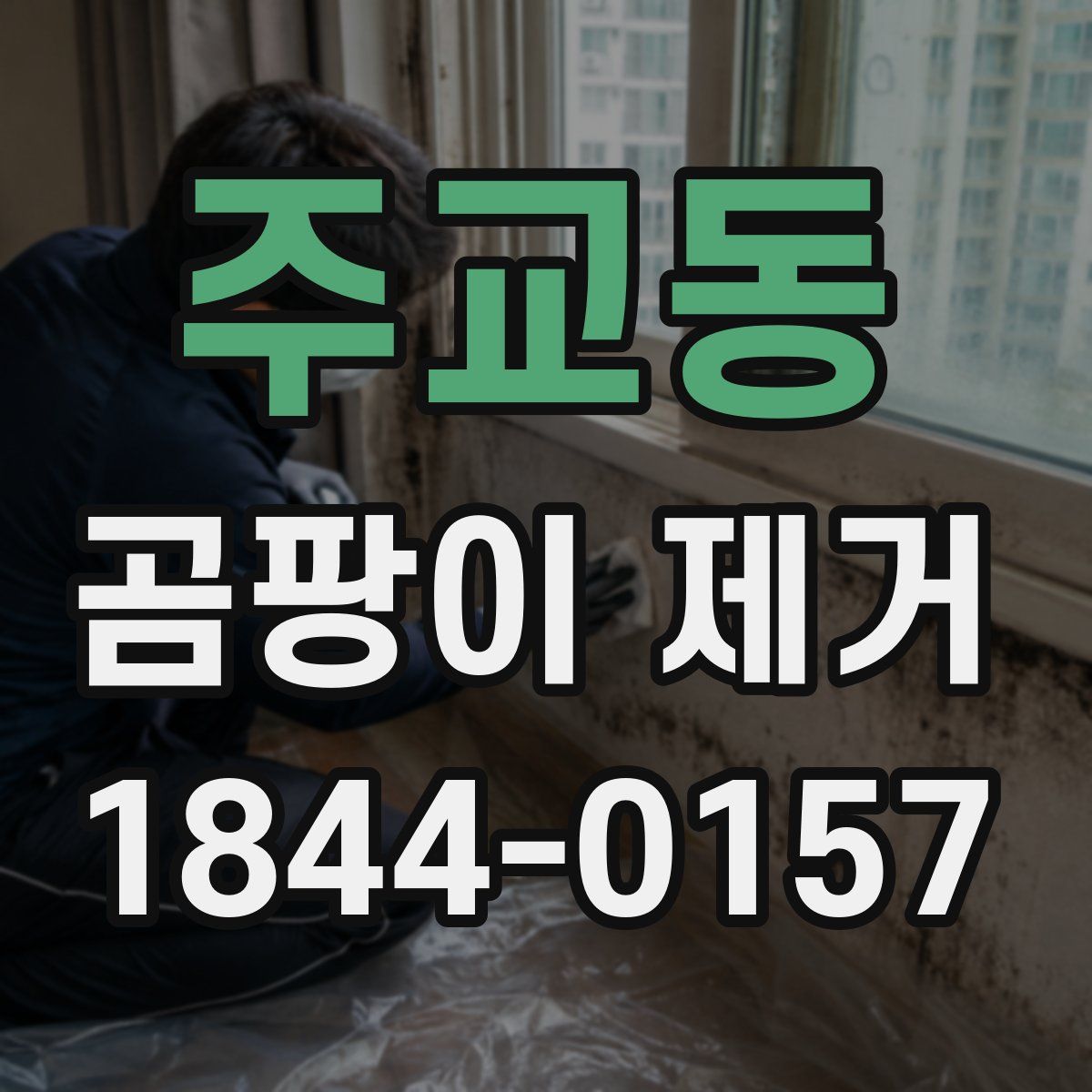 주교동 곰팡이 제거