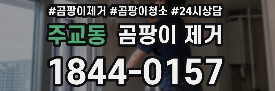 주교동 곰팡이 제거