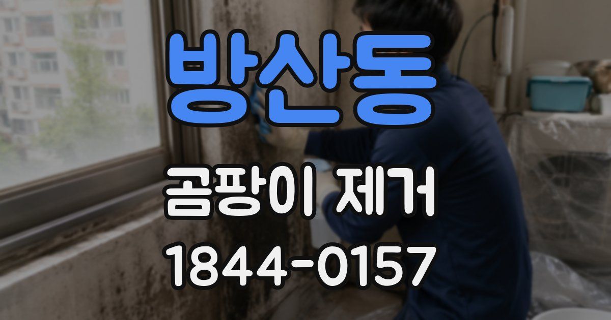 방산동 곰팡이 제거