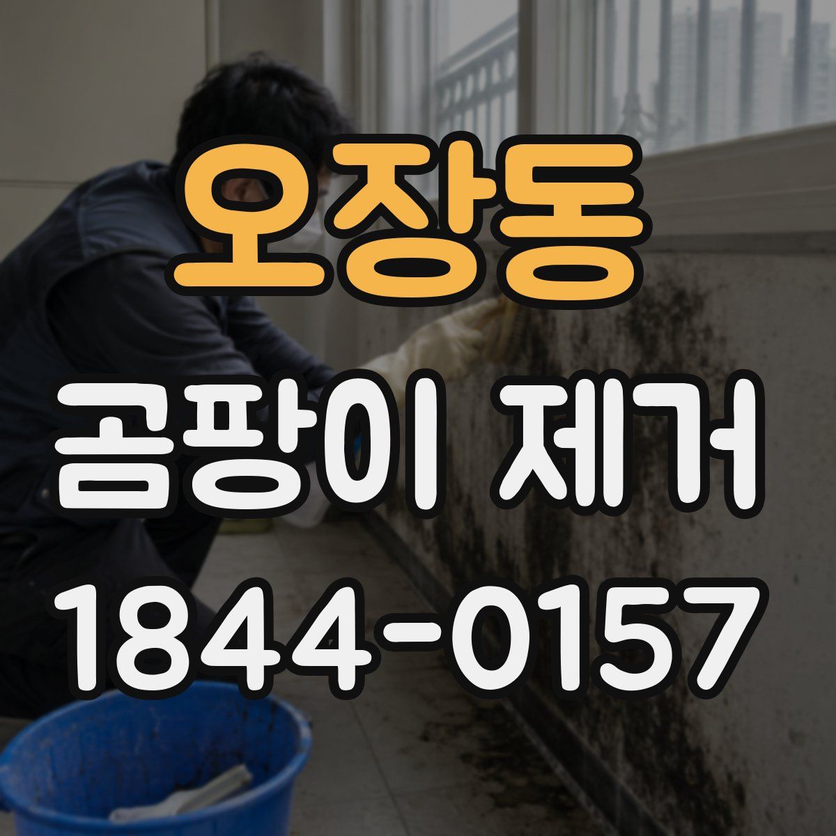 오장동 곰팡이 제거