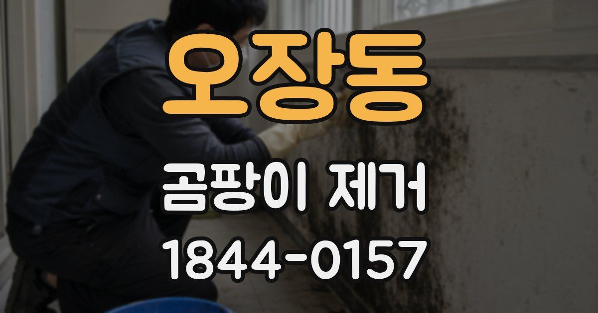 오장동 곰팡이 제거