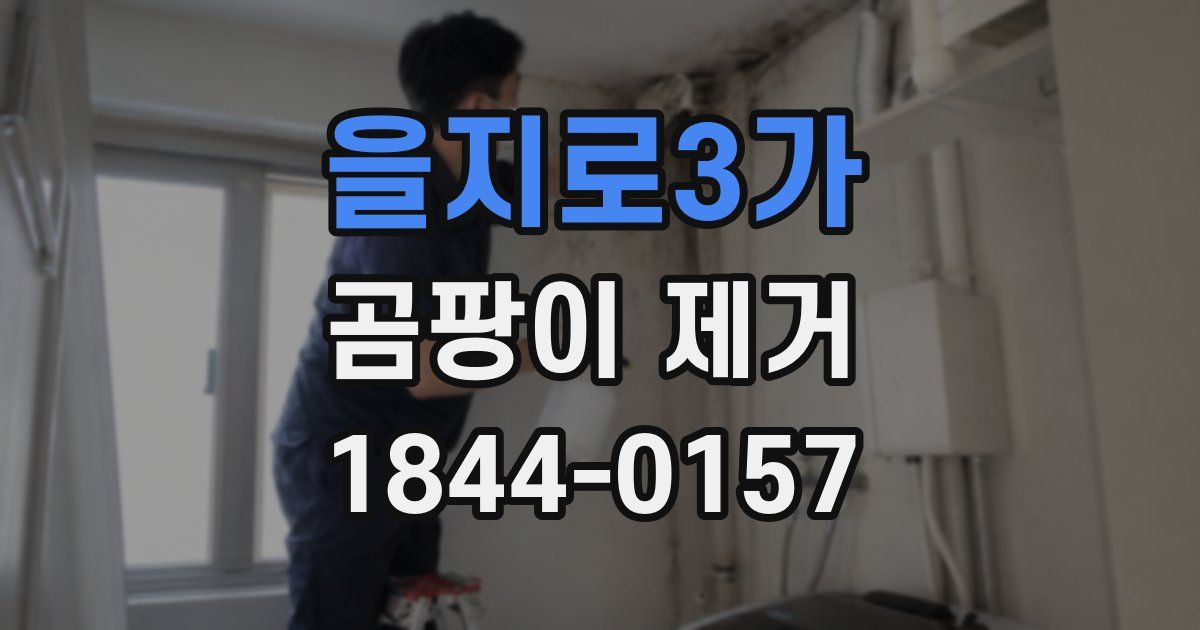 을지로3가 곰팡이 제거