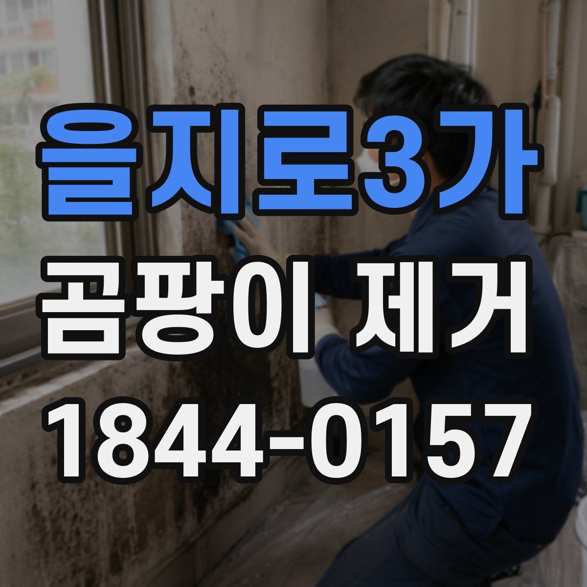 을지로3가 곰팡이 제거