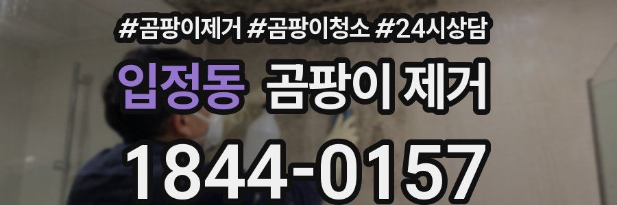 입정동 곰팡이 제거