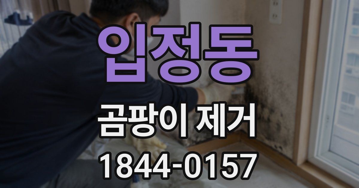 입정동 곰팡이 제거