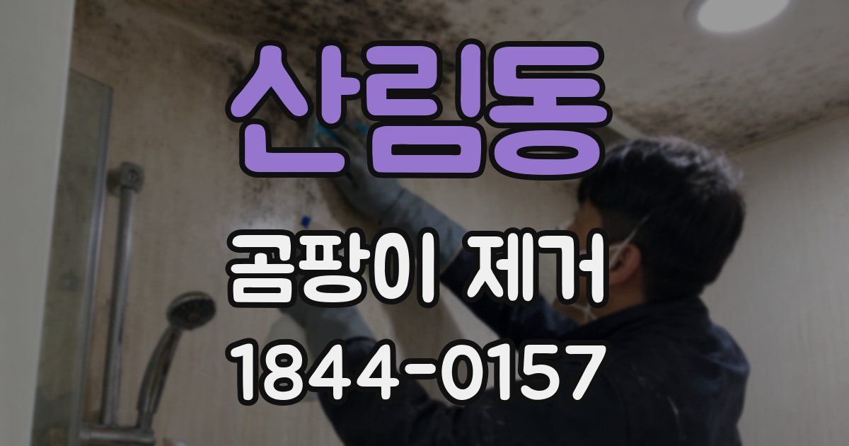 산림동 곰팡이 제거