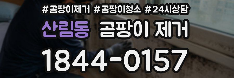 산림동 곰팡이 제거