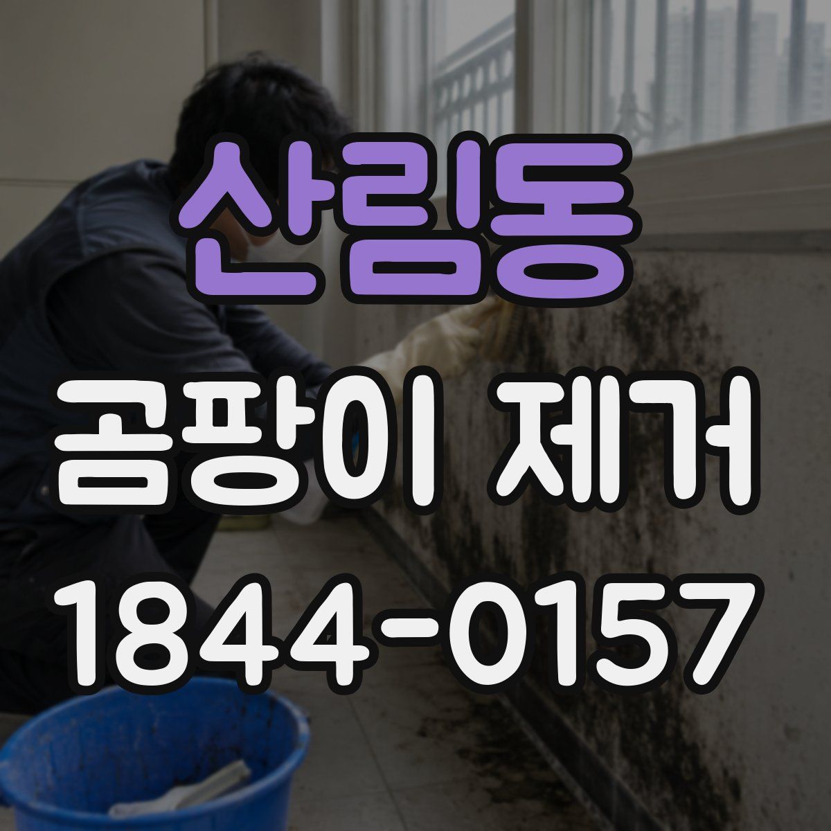 산림동 곰팡이 제거