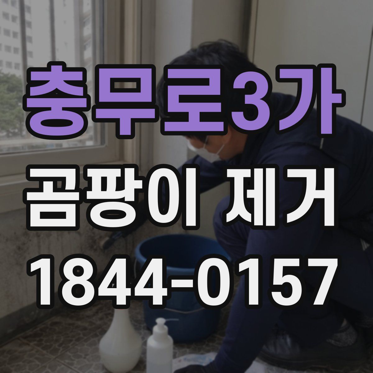 충무로3가 곰팡이 제거