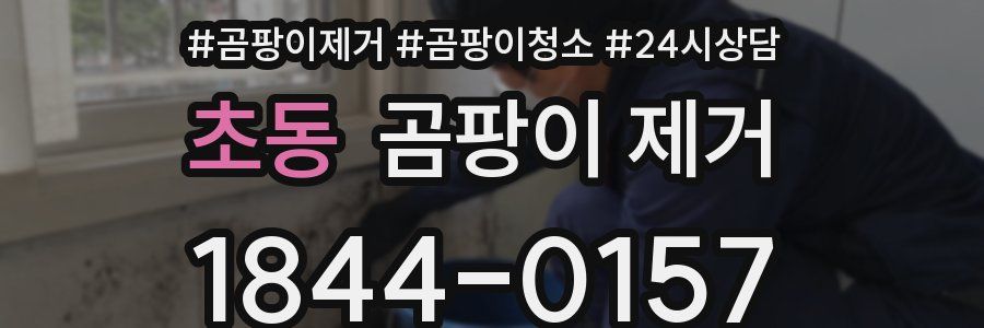 초동 곰팡이 제거