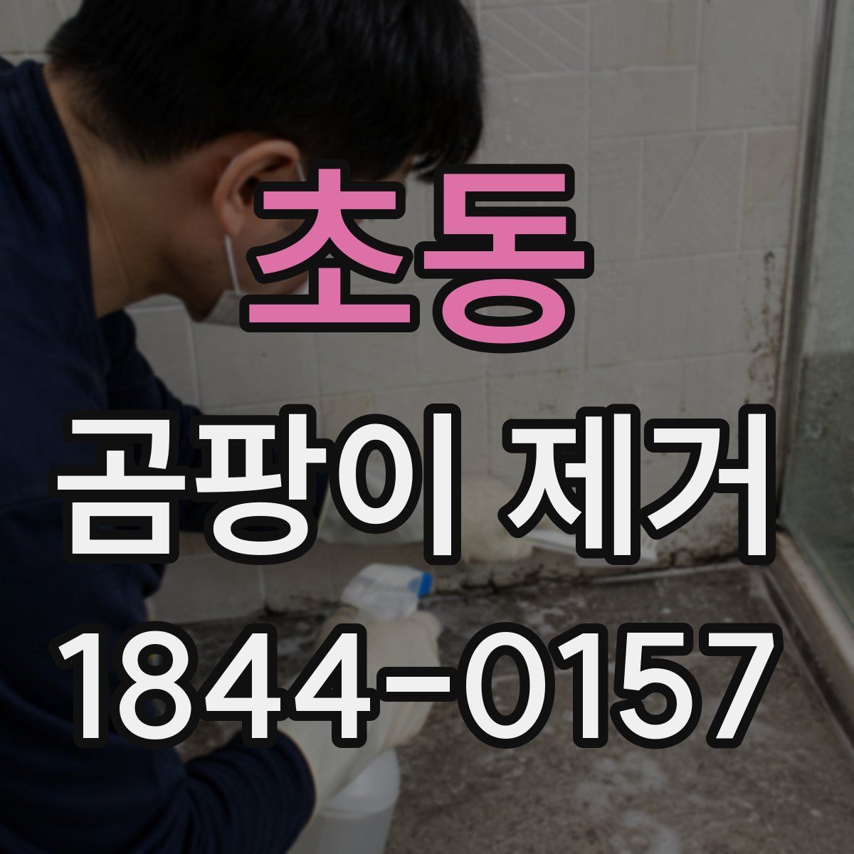 초동 곰팡이 제거