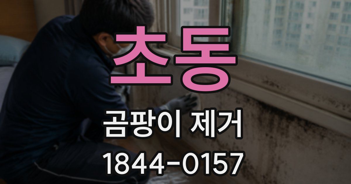 초동 곰팡이 제거