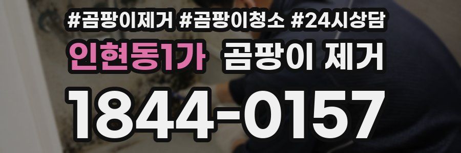 인현동1가 곰팡이 제거