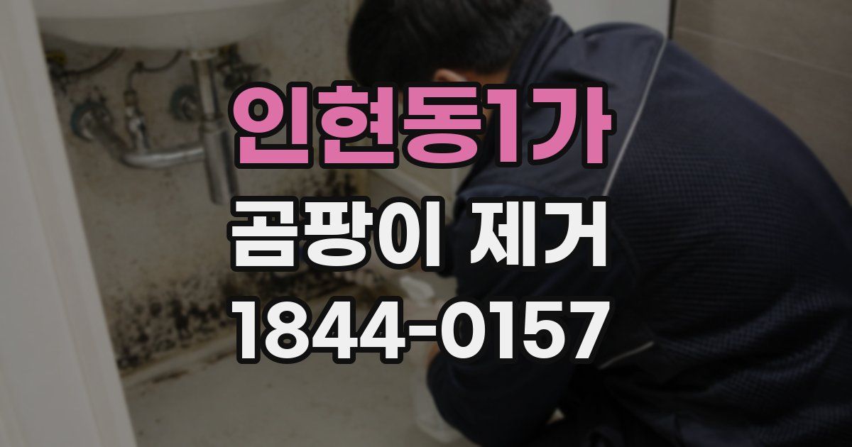 인현동1가 곰팡이 제거