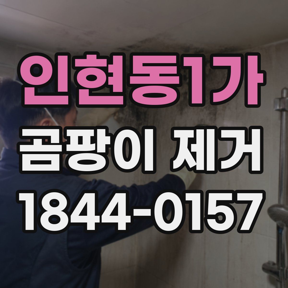 인현동1가 곰팡이 제거