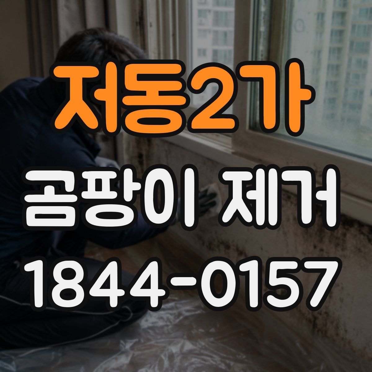 저동2가 곰팡이 제거