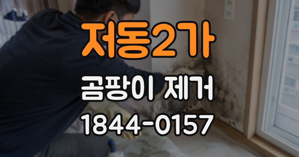 저동2가 곰팡이 제거