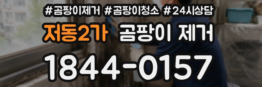저동2가 곰팡이 제거