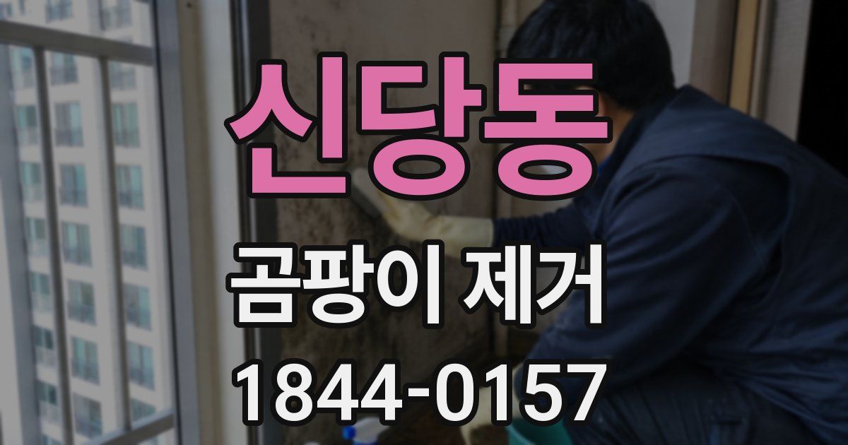 신당동 곰팡이 제거