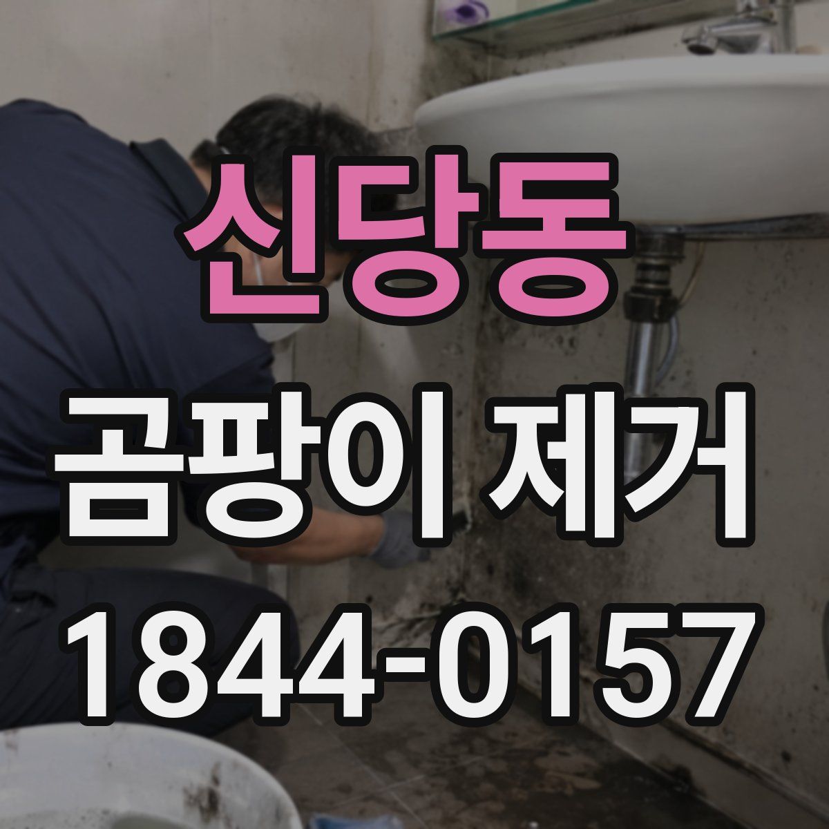 신당동 곰팡이 제거