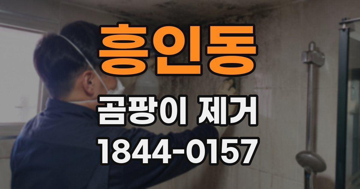 흥인동 곰팡이 제거