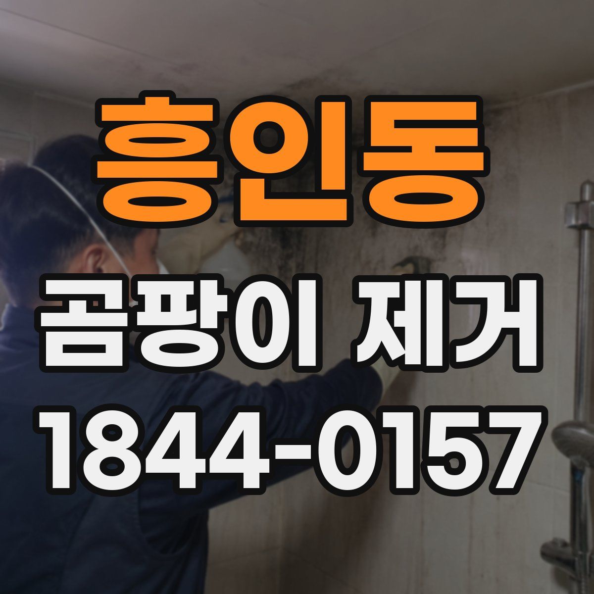 흥인동 곰팡이 제거
