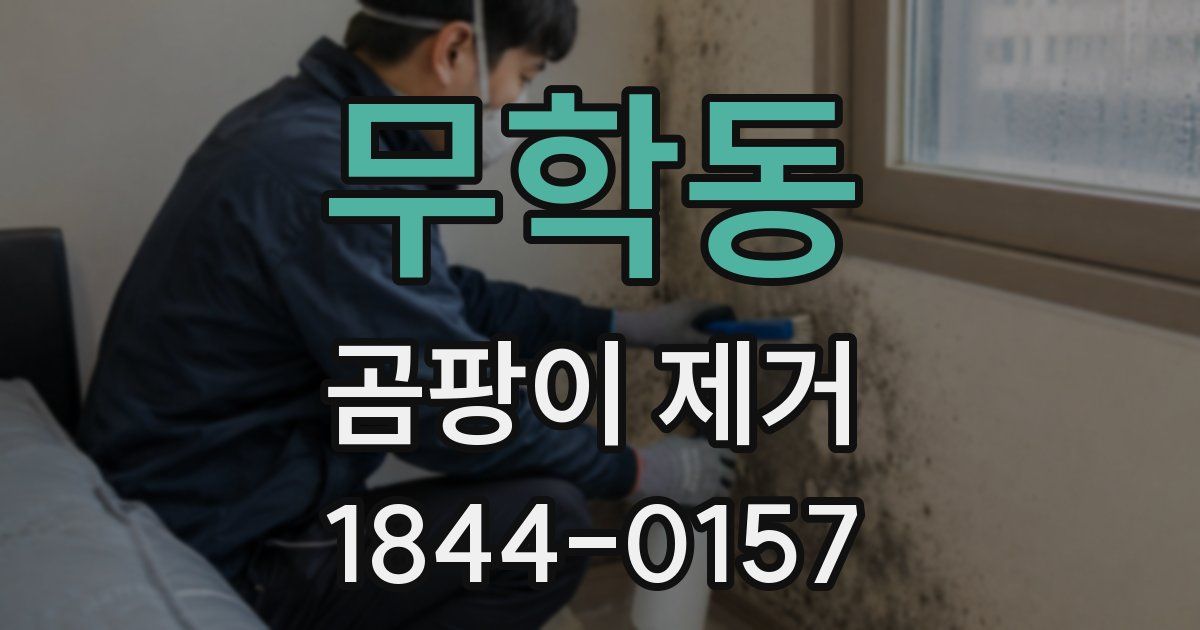 무학동 곰팡이 제거