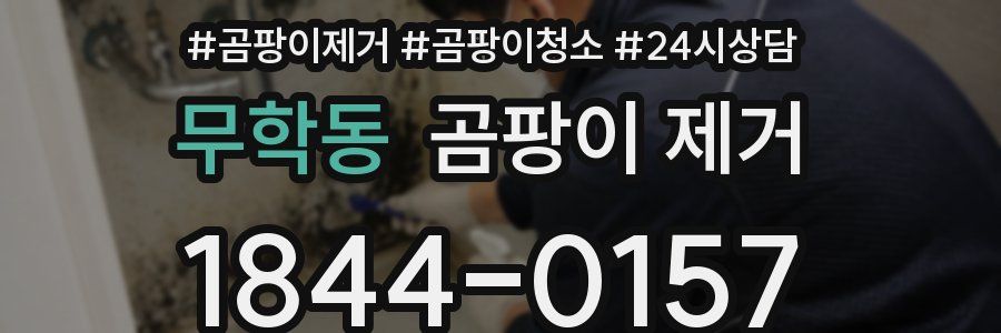 무학동 곰팡이 제거