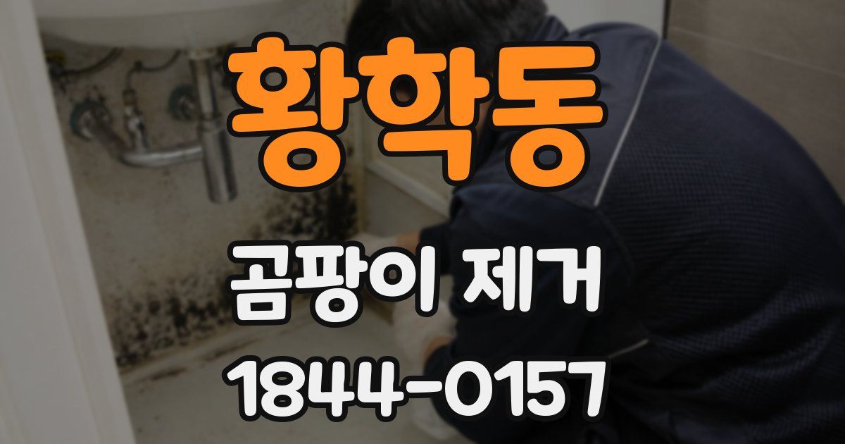 황학동 곰팡이 제거