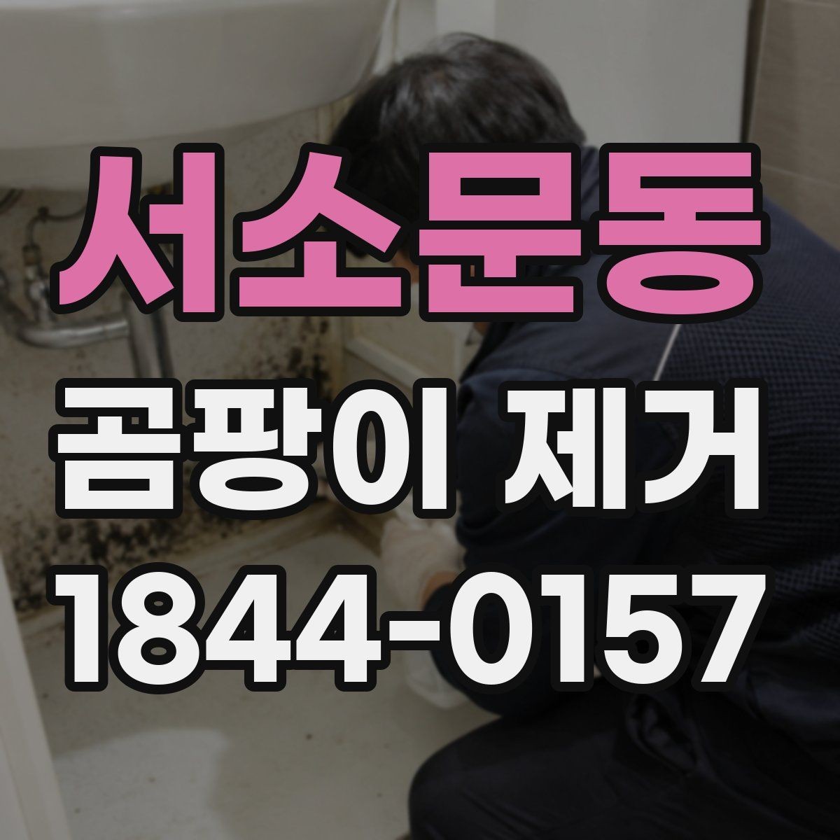 서소문동 곰팡이 제거 사진 기록으로 진행 전 상태 남기는 방법