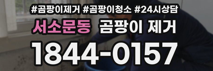 서소문동 곰팡이 제거