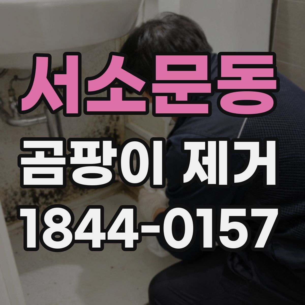서소문동 곰팡이 제거