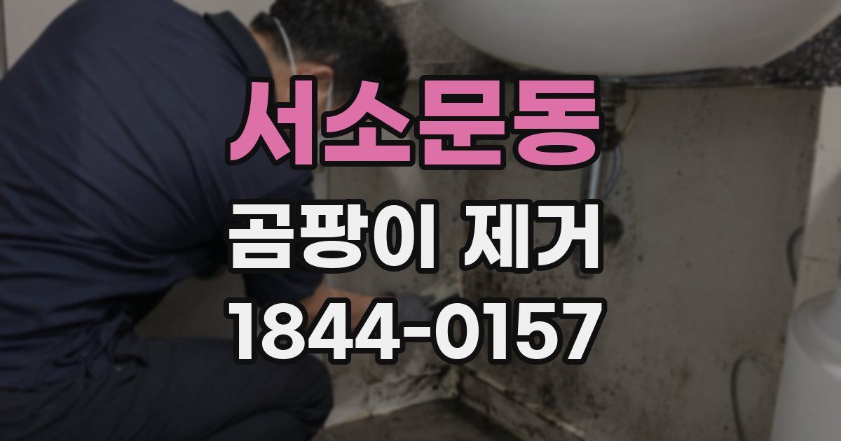 서소문동 곰팡이 제거