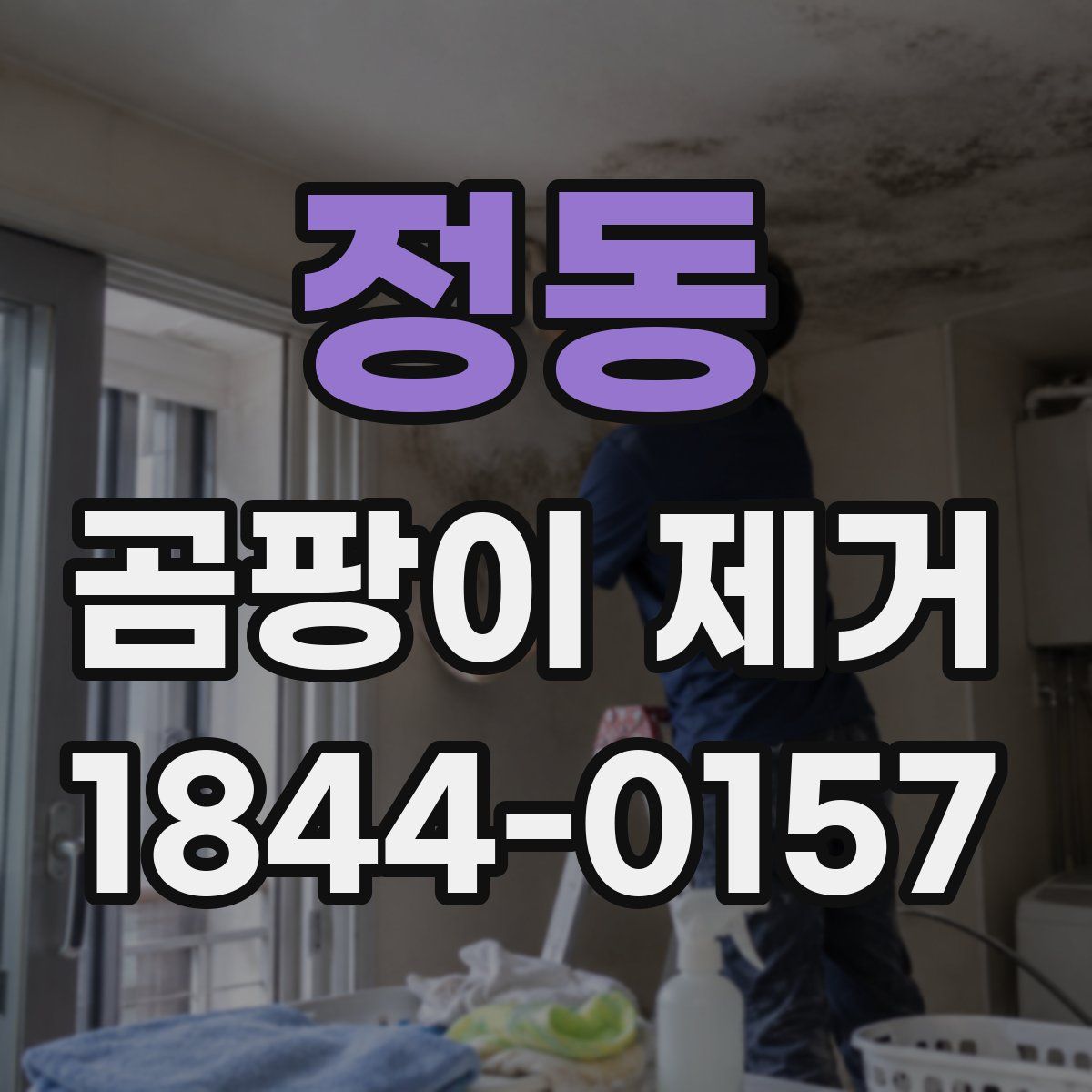 정동 곰팡이 제거