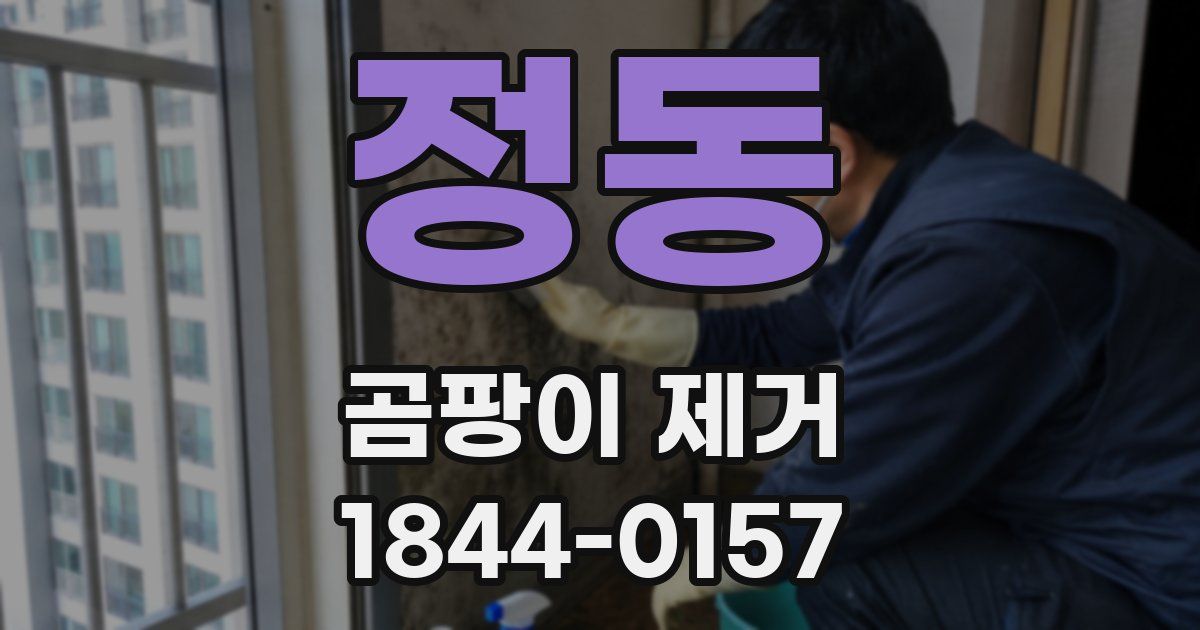 정동 곰팡이 제거
