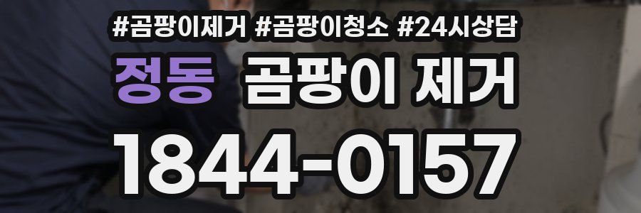정동 곰팡이 제거