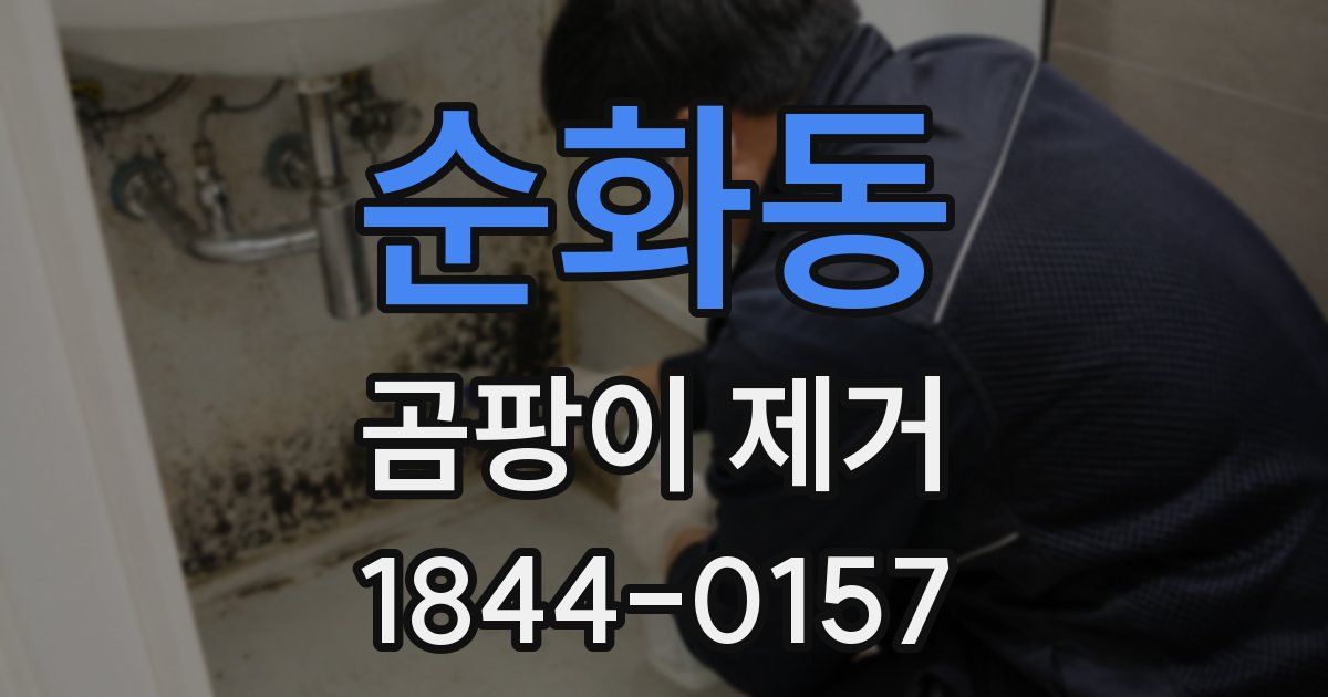 순화동 곰팡이 제거