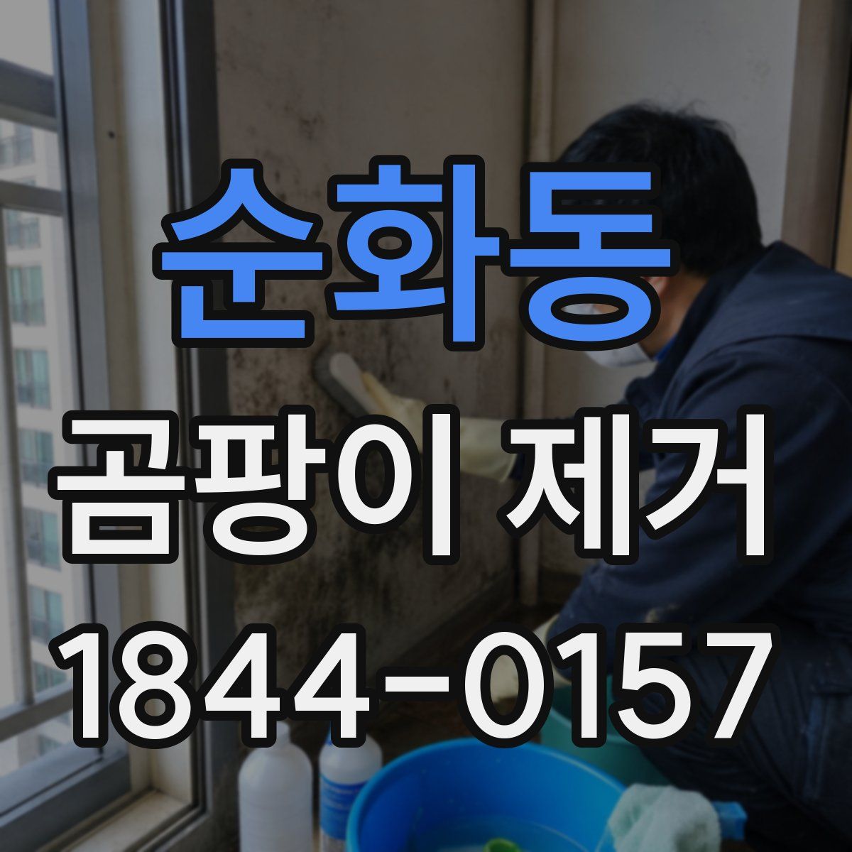 순화동 곰팡이 제거