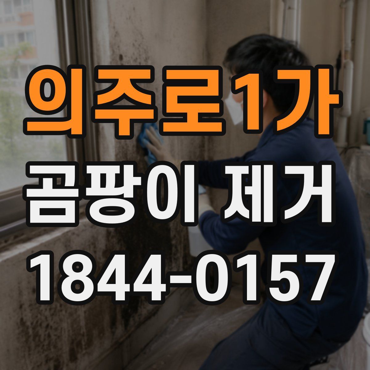 의주로1가 곰팡이 제거