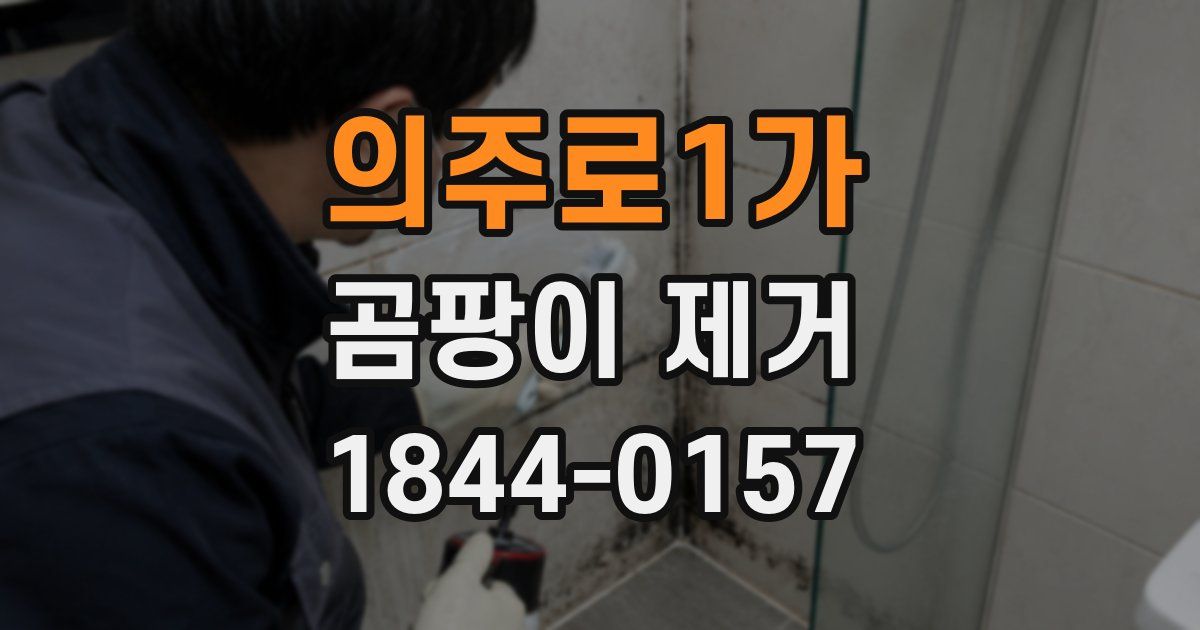 의주로1가 곰팡이 제거