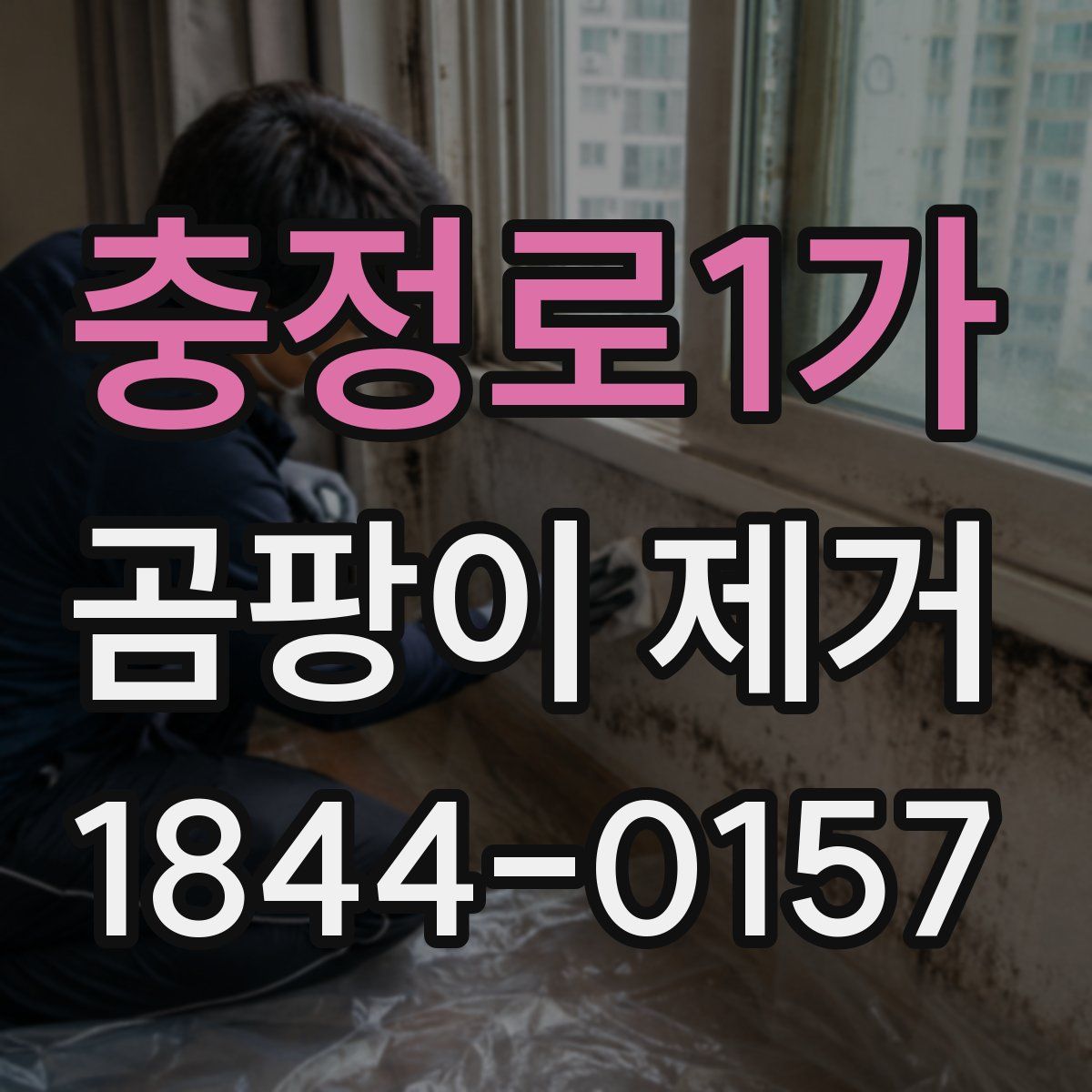 충정로1가 곰팡이 제거