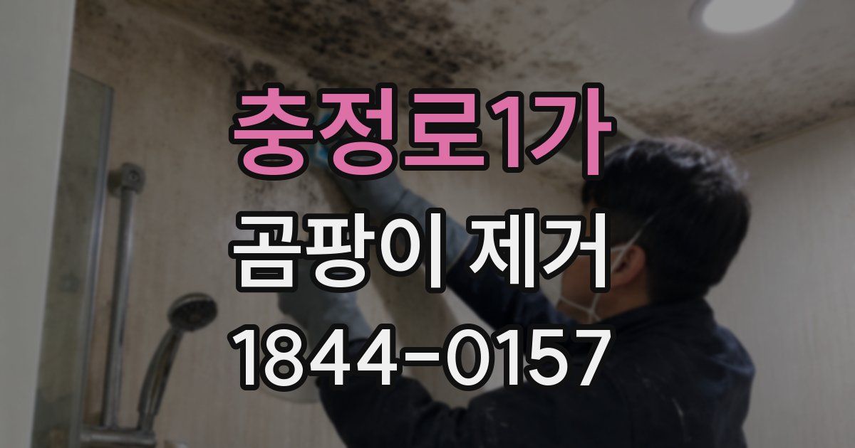 충정로1가 곰팡이 제거