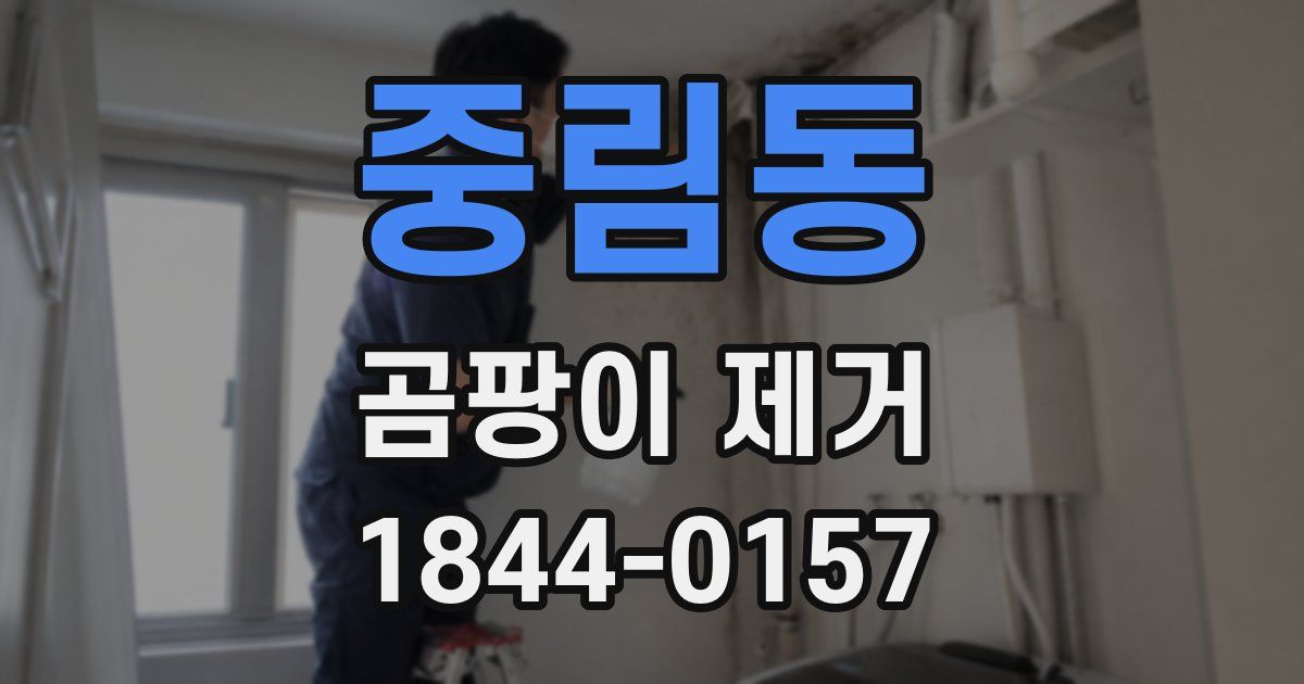 중림동 곰팡이 제거