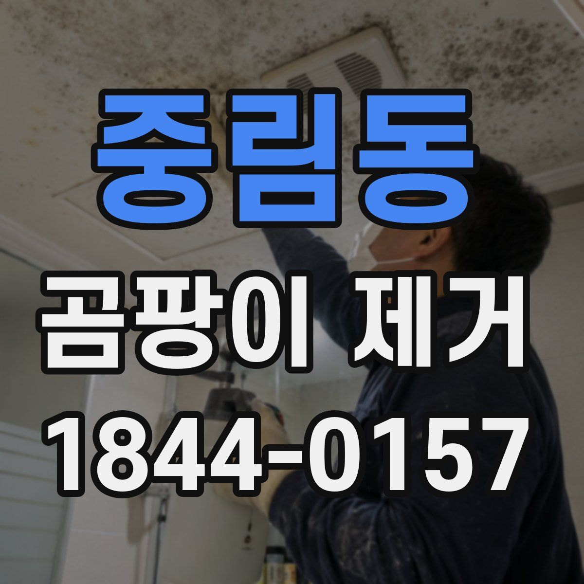 중림동 곰팡이 제거