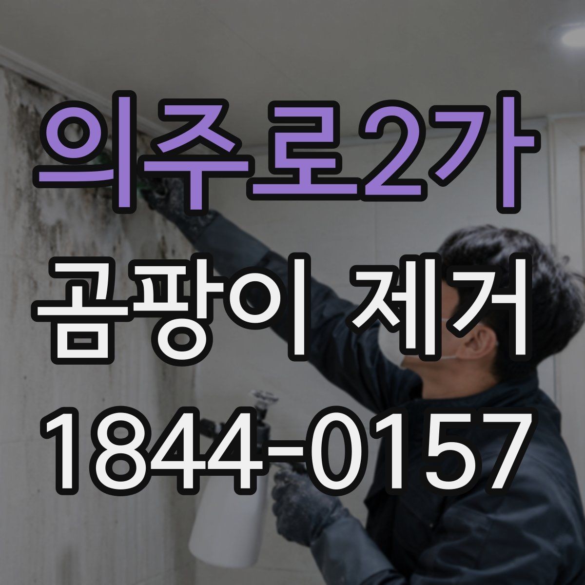 의주로2가 곰팡이 제거 오피스텔 화장실과 주방 경계 정리