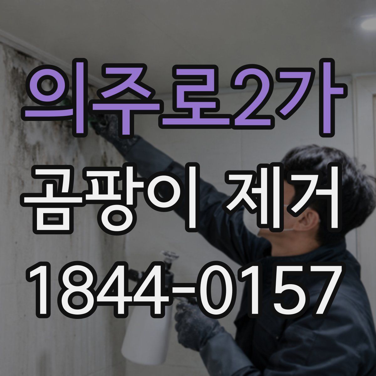 의주로2가 곰팡이 제거