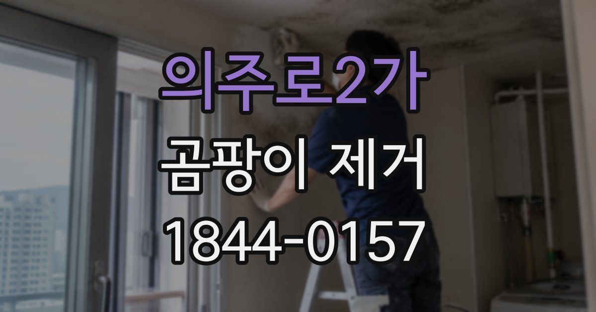 의주로2가 곰팡이 제거