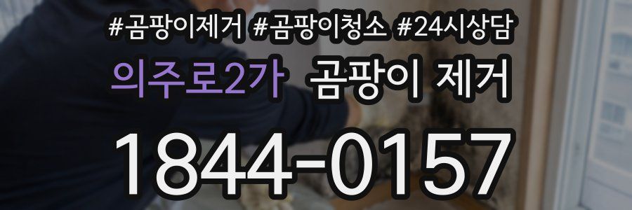 의주로2가 곰팡이 제거