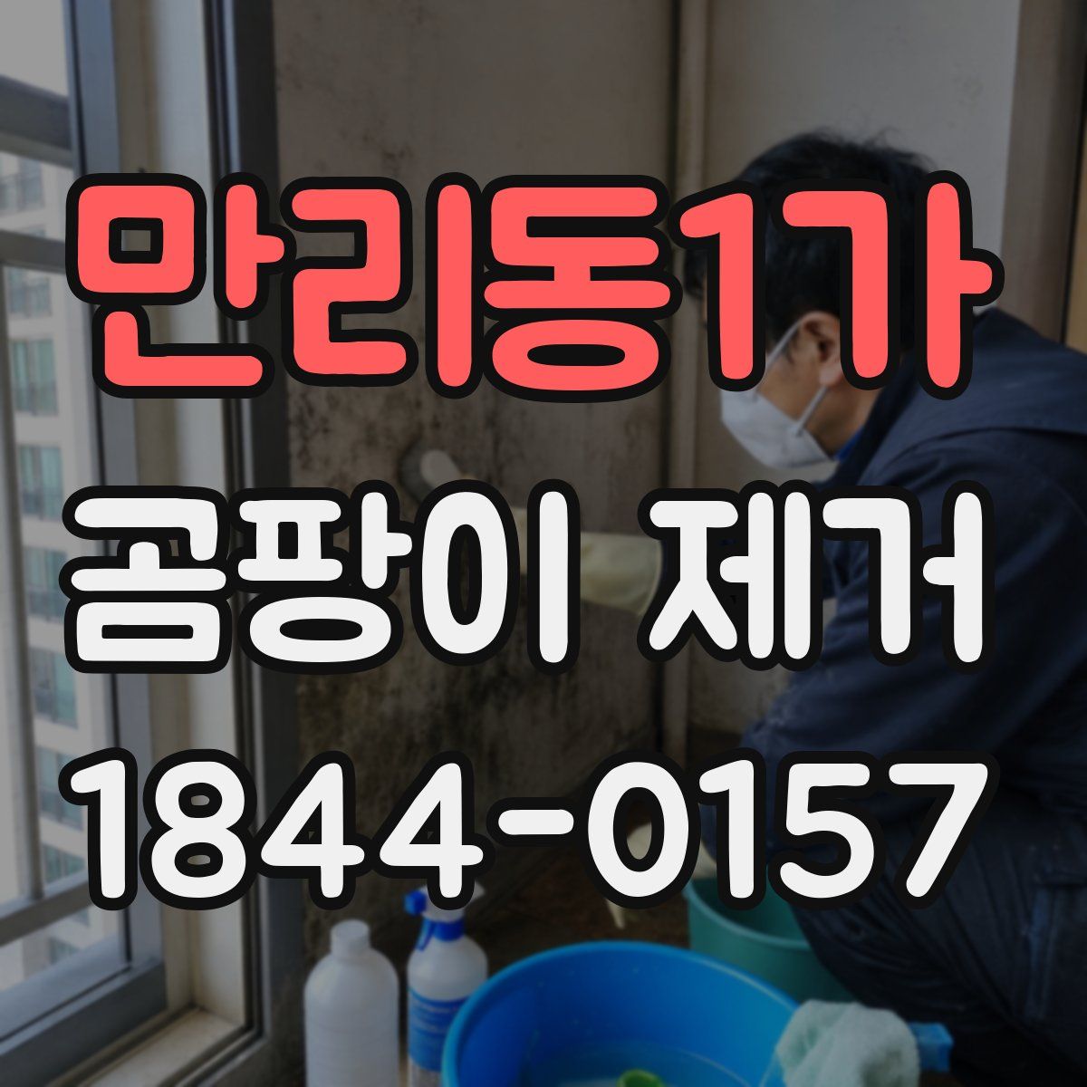 만리동1가 곰팡이 제거