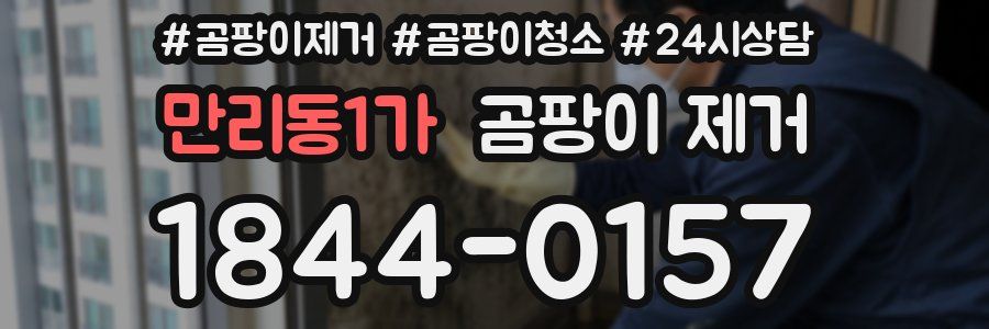 만리동1가 곰팡이 제거